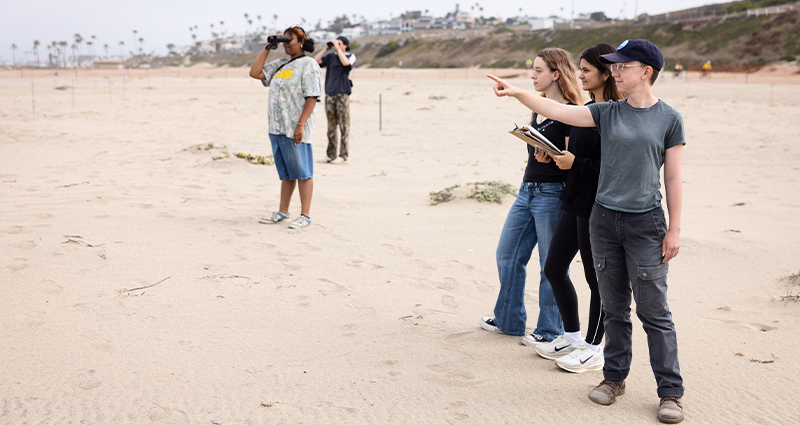 Four CRI Interns Standing on Beach Looking for Wildlife